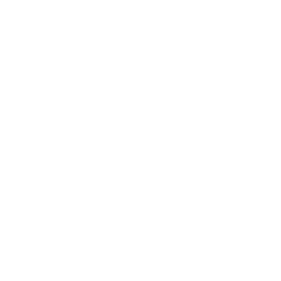DataPostie Logo - White